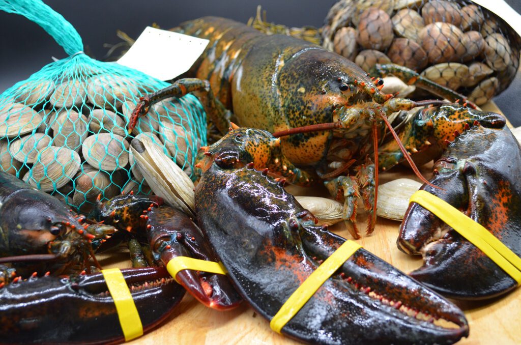 Live lobsters, littleneck clams and middleneck clams