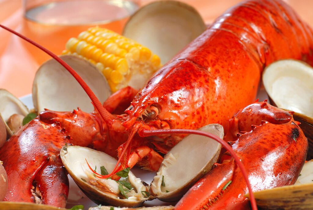 New England clam bake with steamed whole Maine lobster, steamer clams and corn on the cob