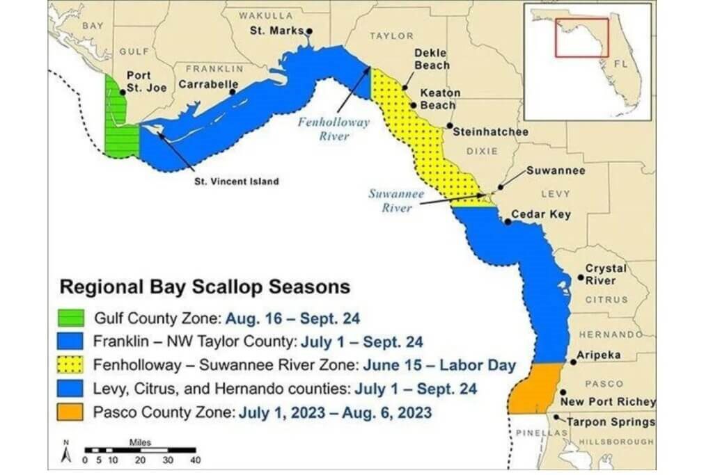 regional bay scallop seasons map